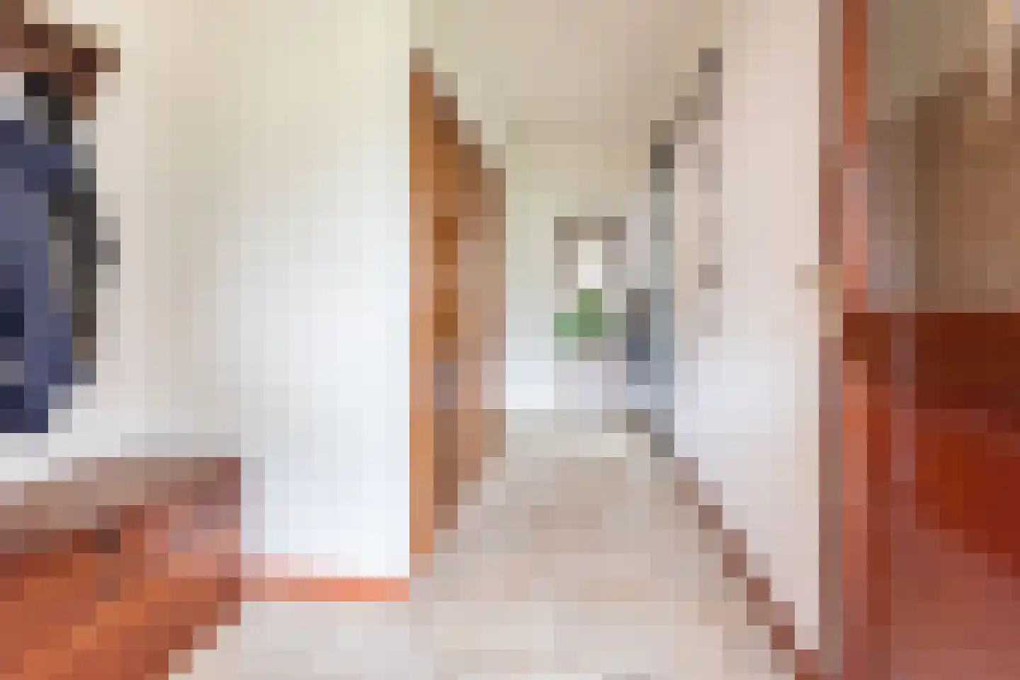 Bosmanslaan 6 Dinxperlo thumbnail 8