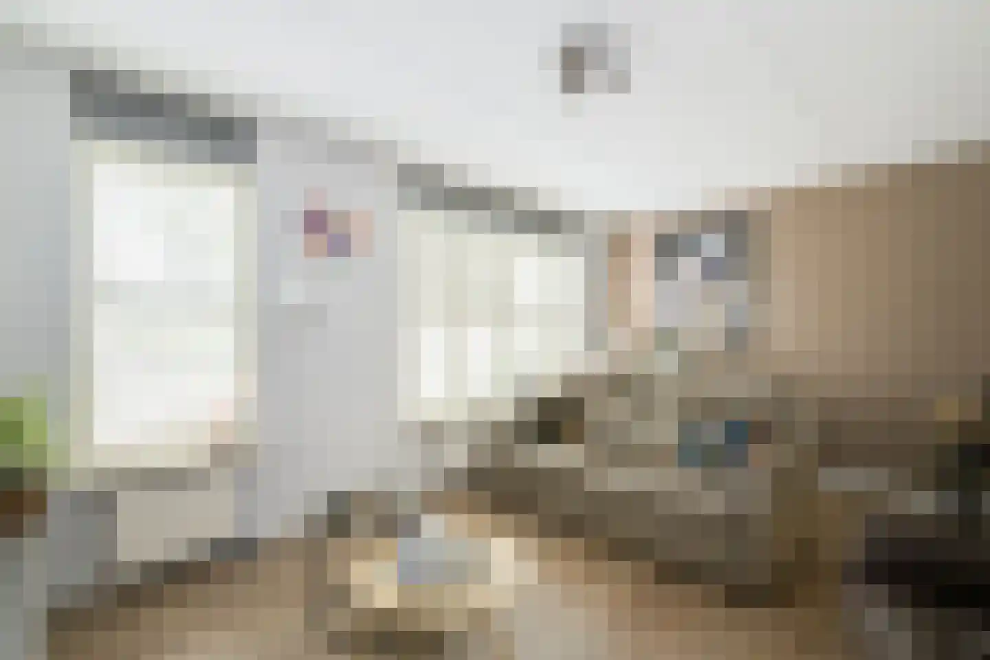 Bosmanslaan 74 Dinxperlo thumbnail 10