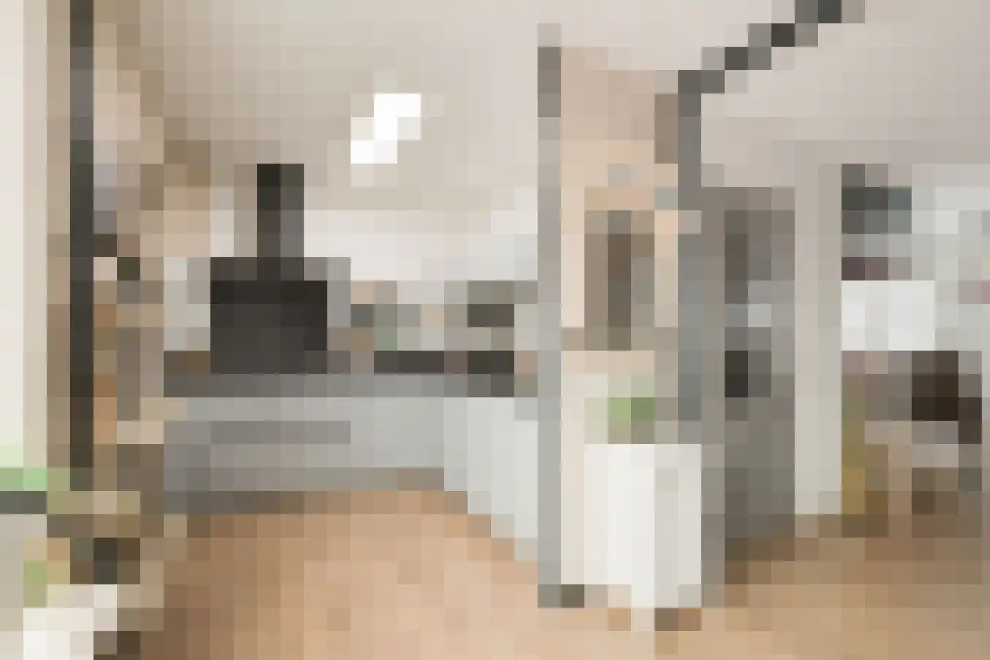 Bosmanslaan 74 Dinxperlo thumbnail 20