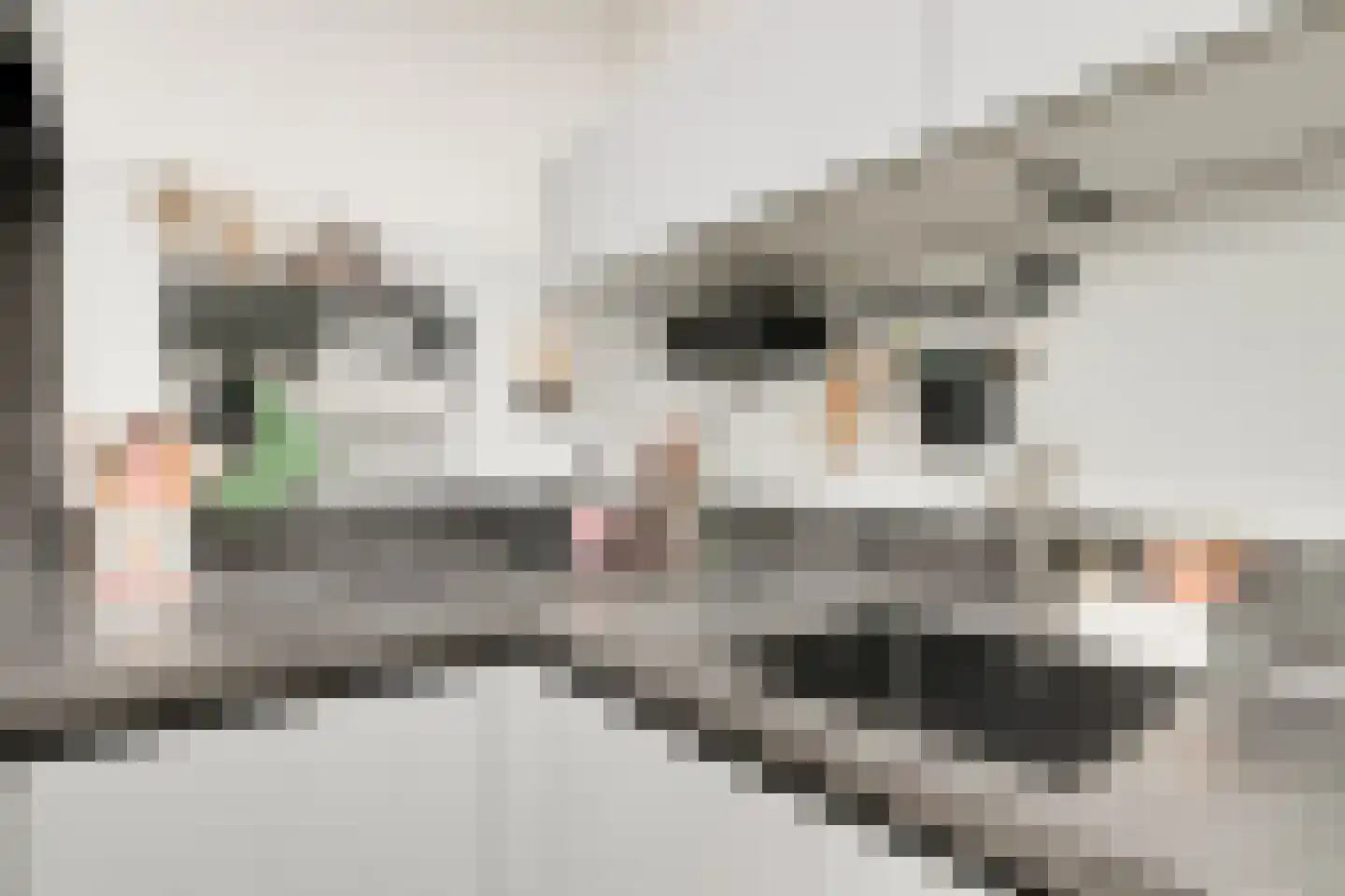 Bosmanslaan 74 Dinxperlo thumbnail 21