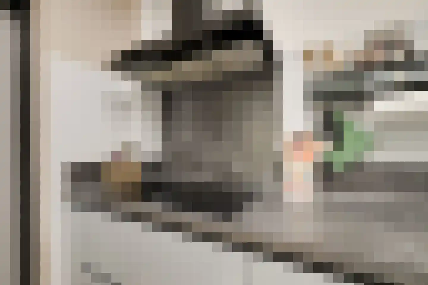 Bosmanslaan 74 Dinxperlo thumbnail 22