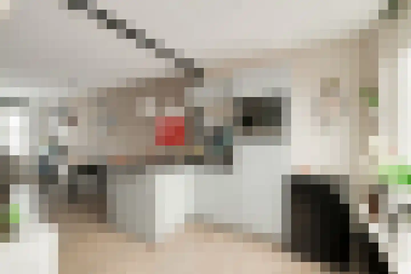 Bosmanslaan 74 Dinxperlo thumbnail 25