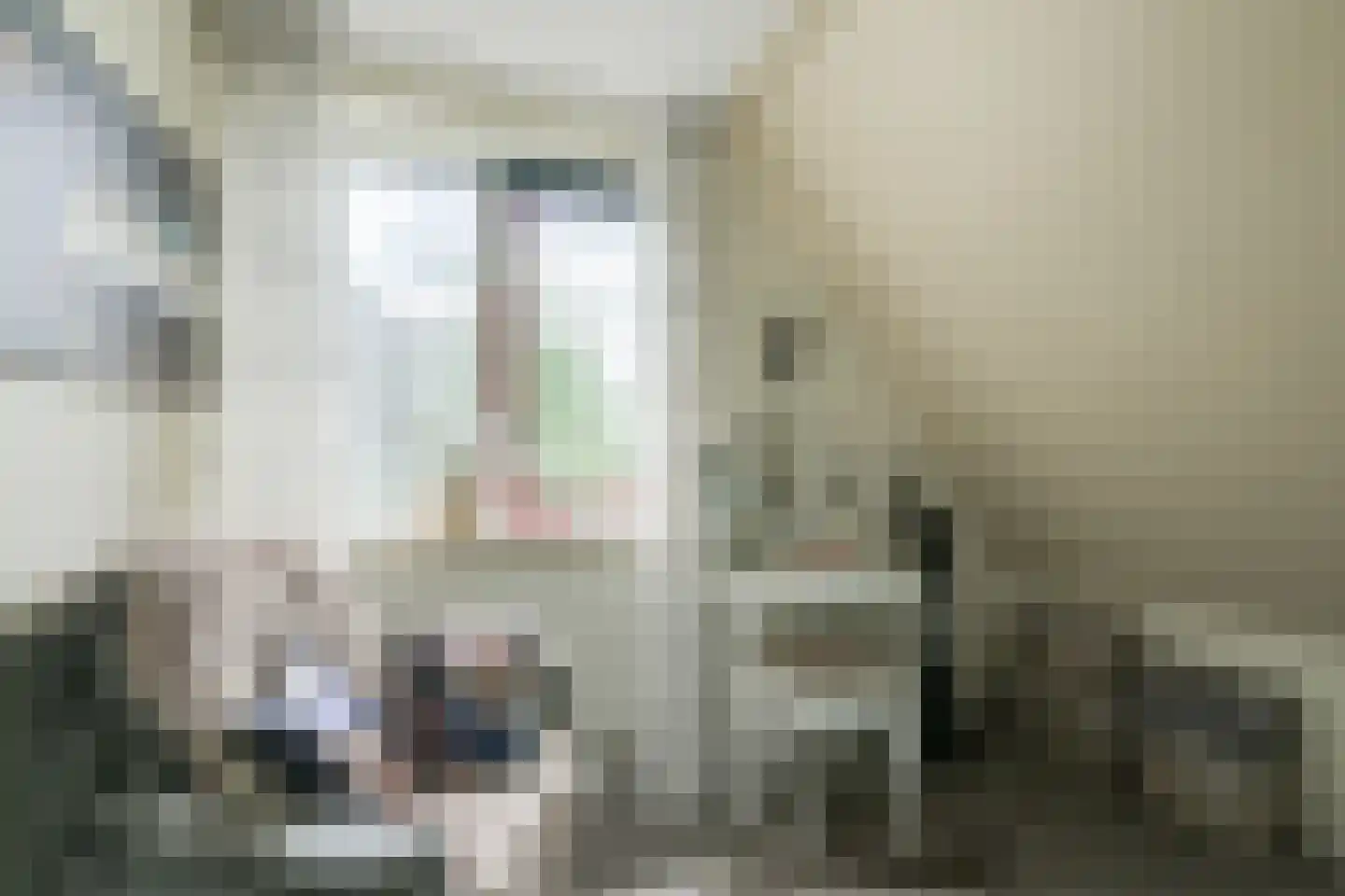 Bosmanslaan 74 Dinxperlo thumbnail 33