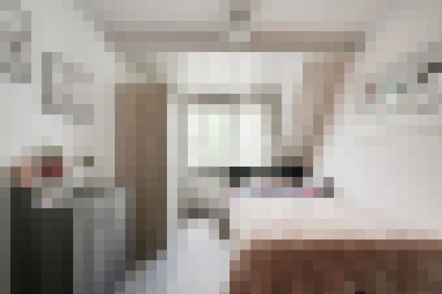 Bosmanslaan 74 Dinxperlo thumbnail 35