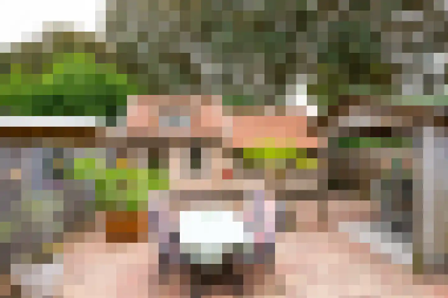 Bosmanslaan 74 Dinxperlo thumbnail 4