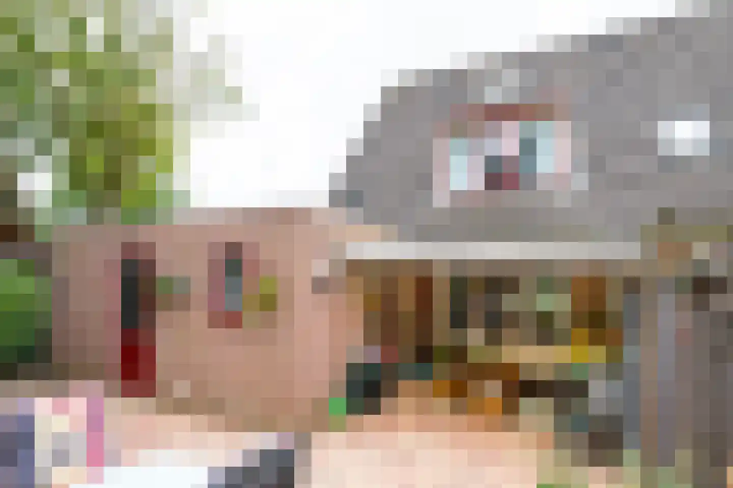 Bosmanslaan 74 Dinxperlo thumbnail 41