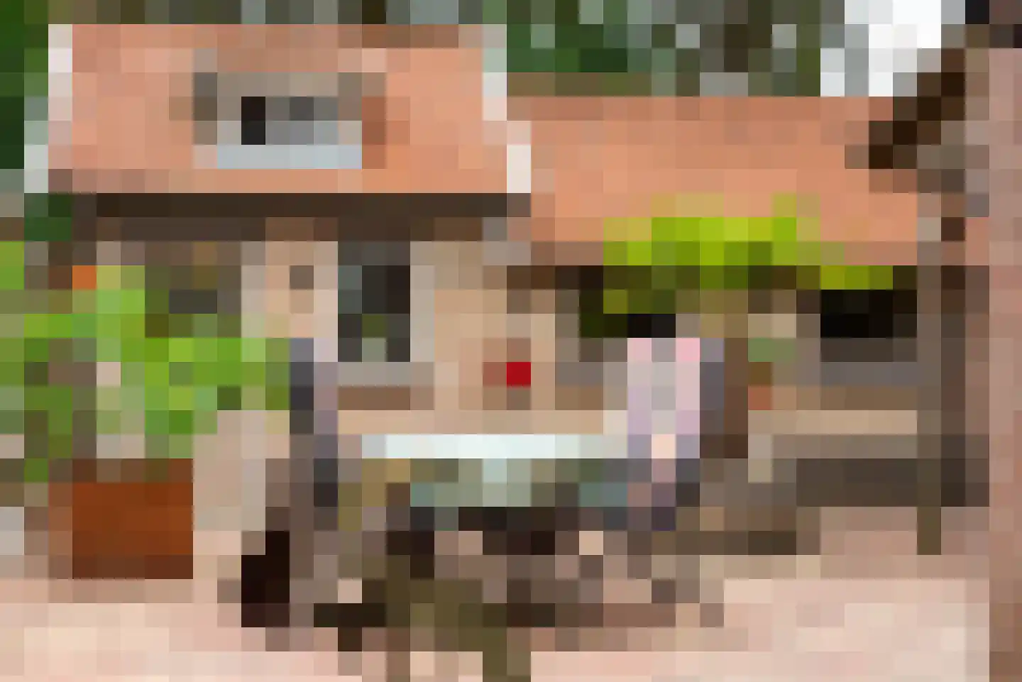 Bosmanslaan 74 Dinxperlo thumbnail 42