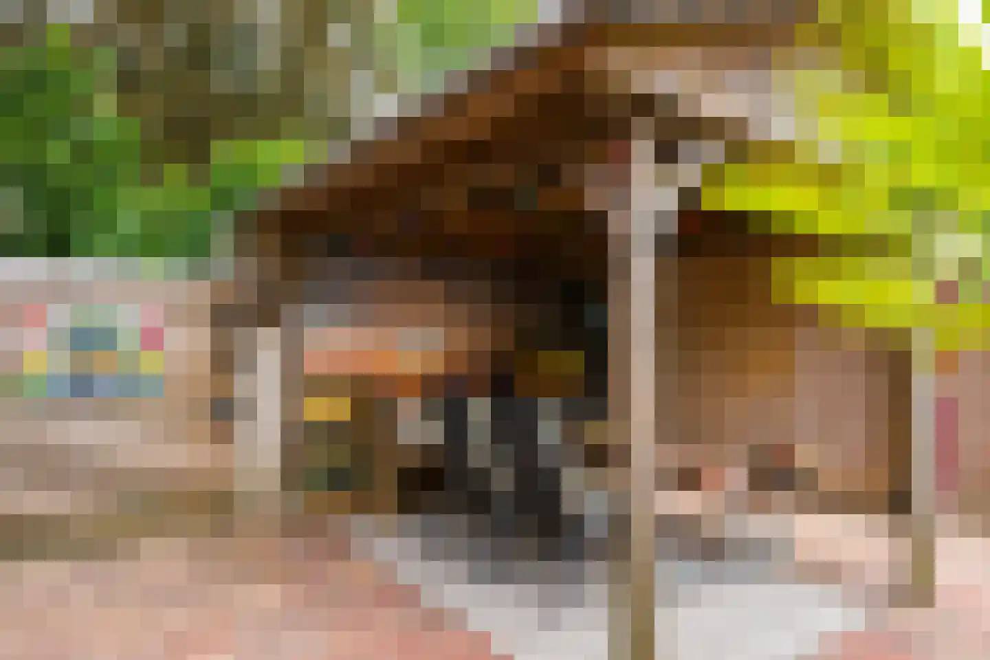 Bosmanslaan 74 Dinxperlo thumbnail 46