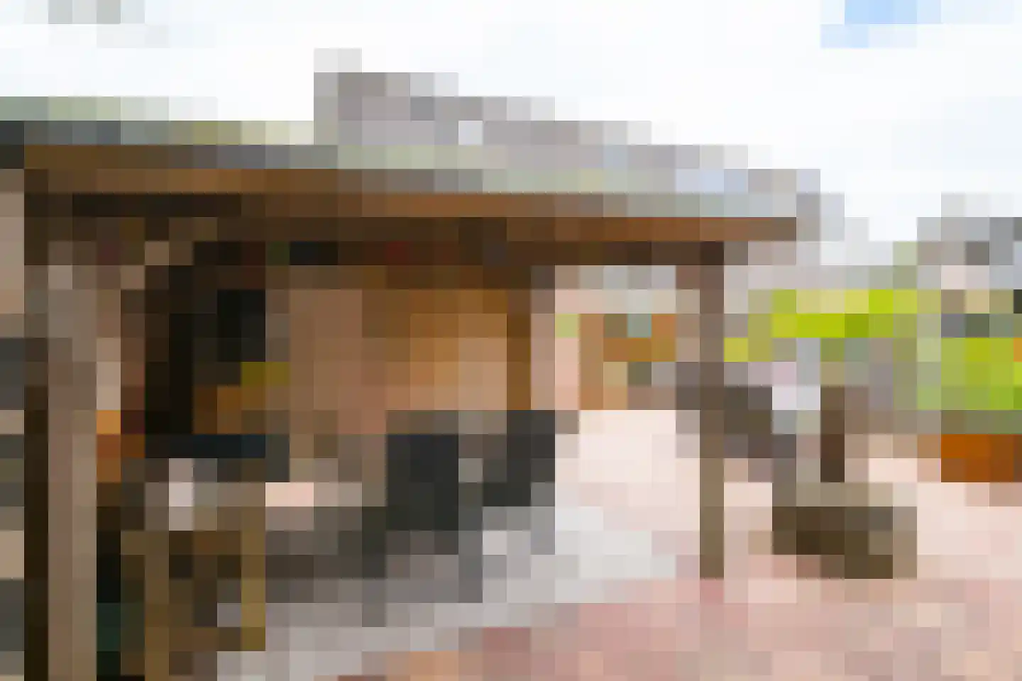 Bosmanslaan 74 Dinxperlo thumbnail 48