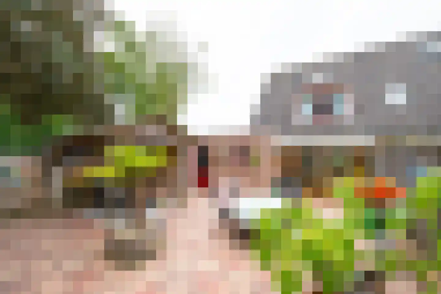 Bosmanslaan 74 Dinxperlo thumbnail 5