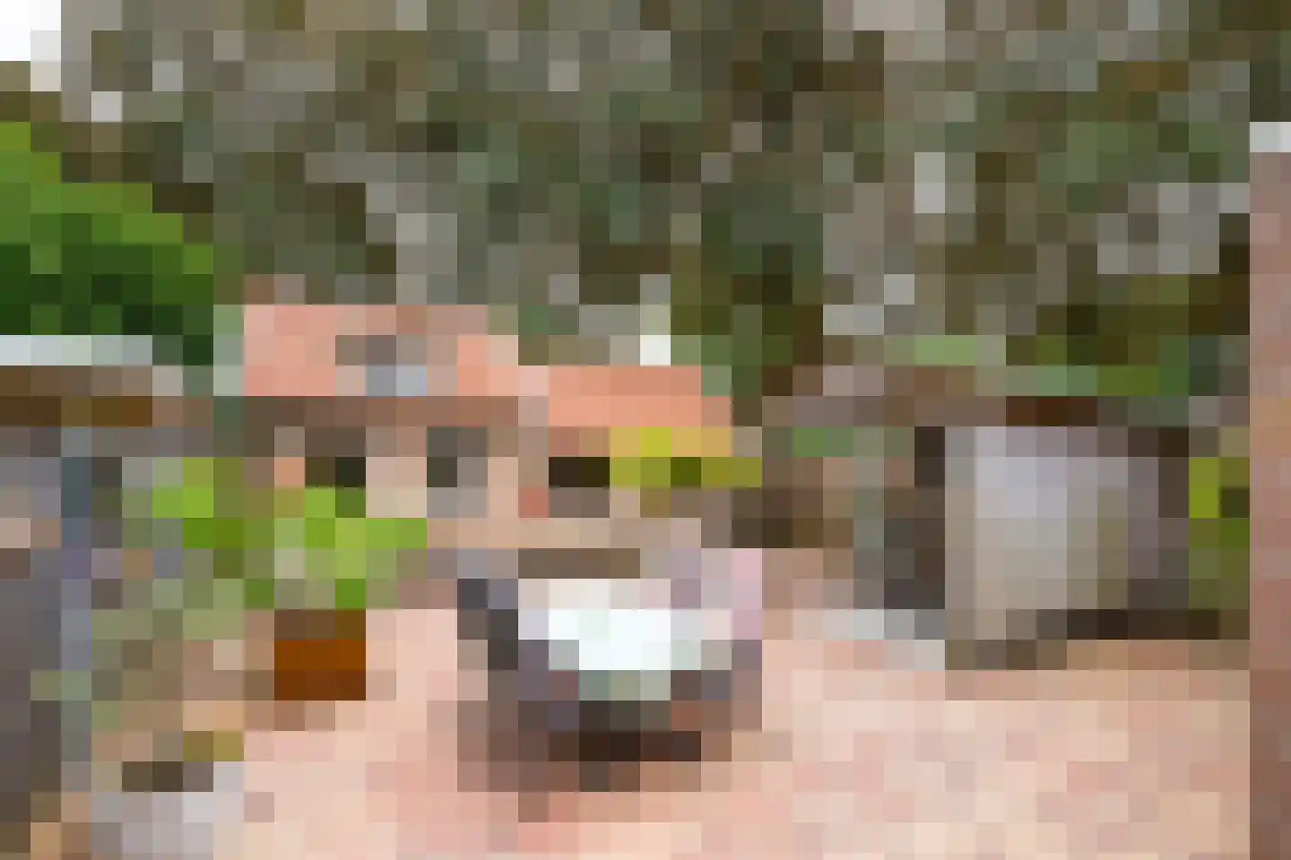 Bosmanslaan 74 Dinxperlo thumbnail 50