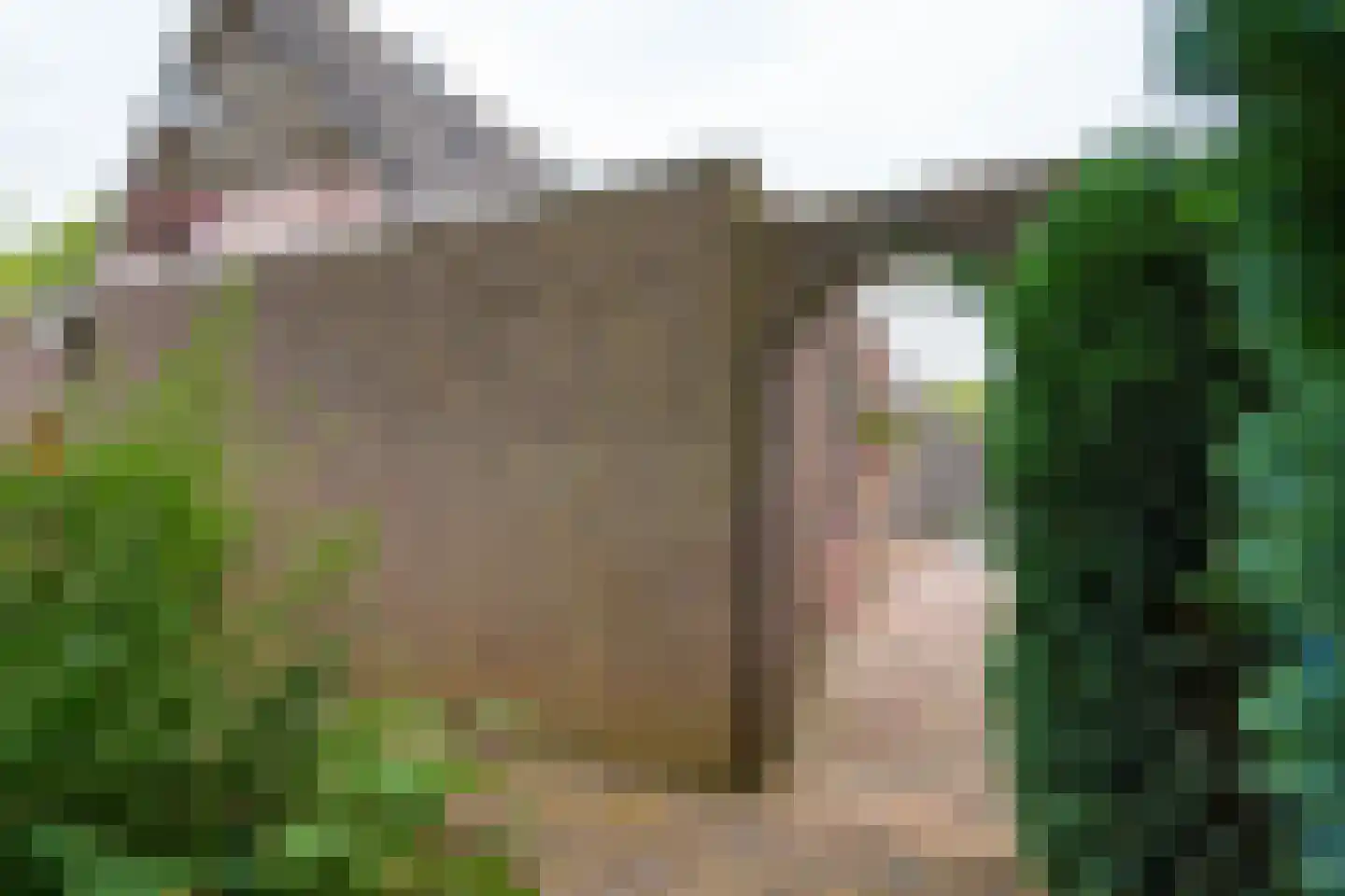 Bosmanslaan 74 Dinxperlo thumbnail 52