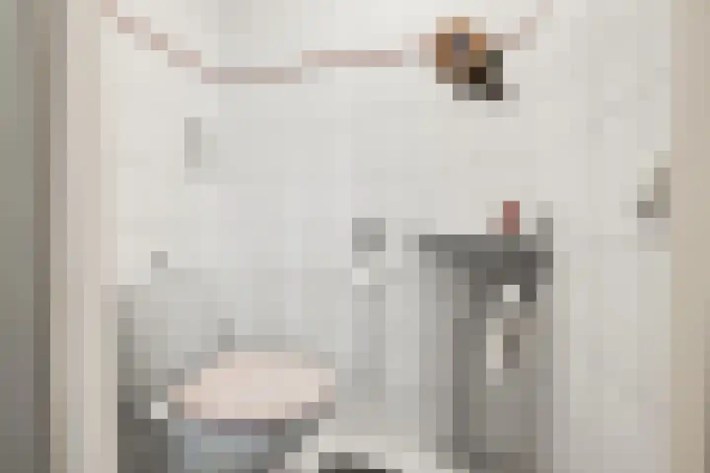 Bosmanslaan 74 Dinxperlo thumbnail 9