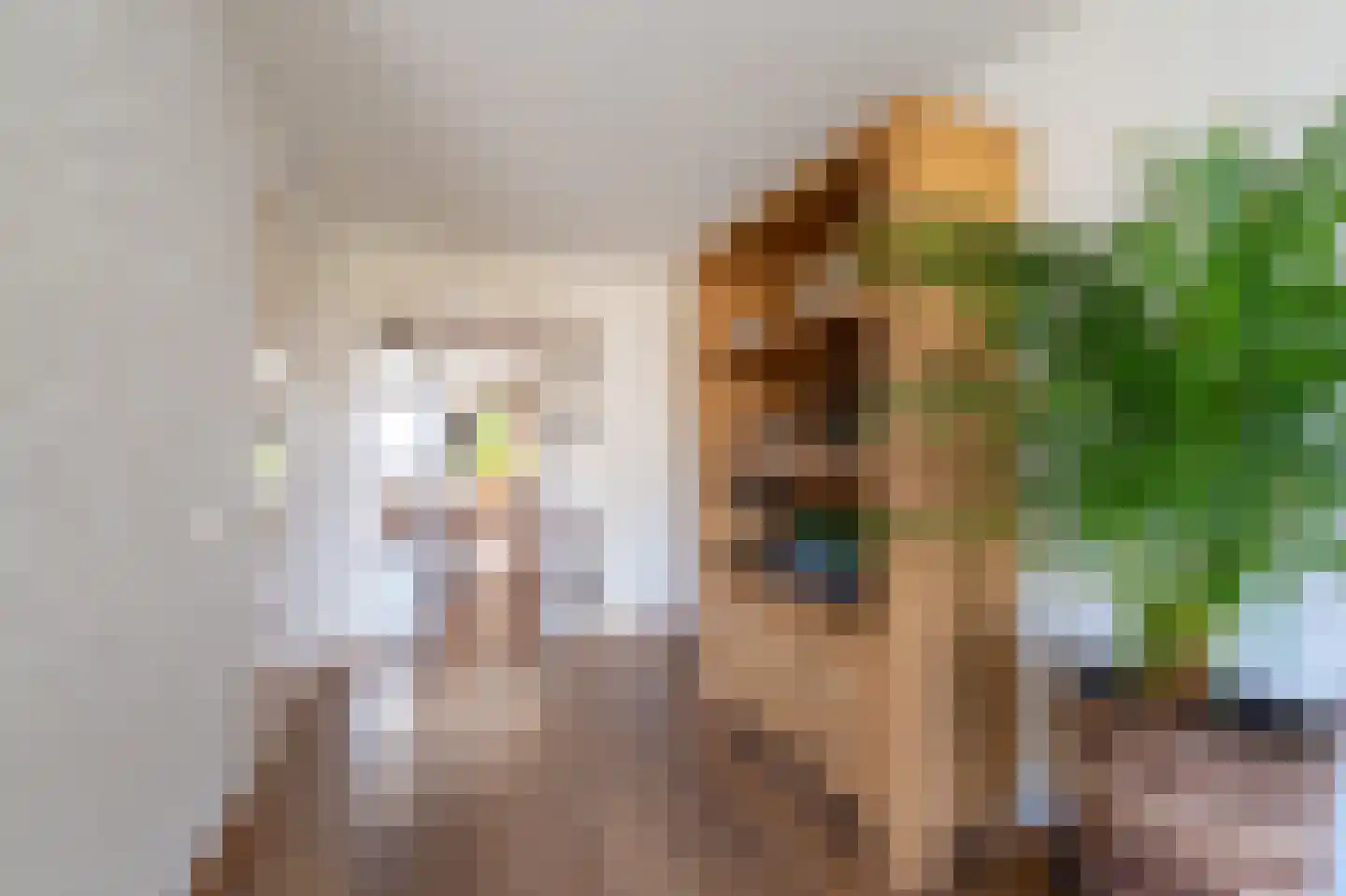 Bosmansweg 37 Nieuwleusen thumbnail 10