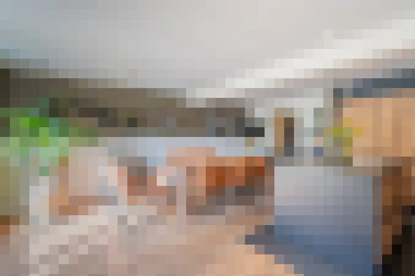 Bosmansweg 37 Nieuwleusen thumbnail 11