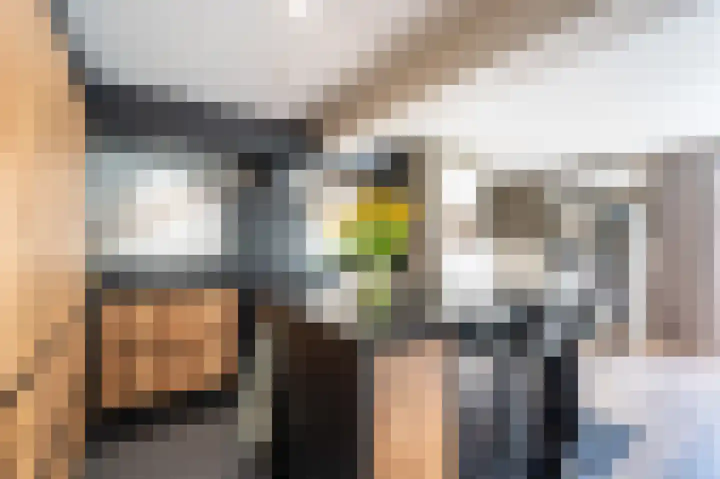 Bosmansweg 37 Nieuwleusen thumbnail 12