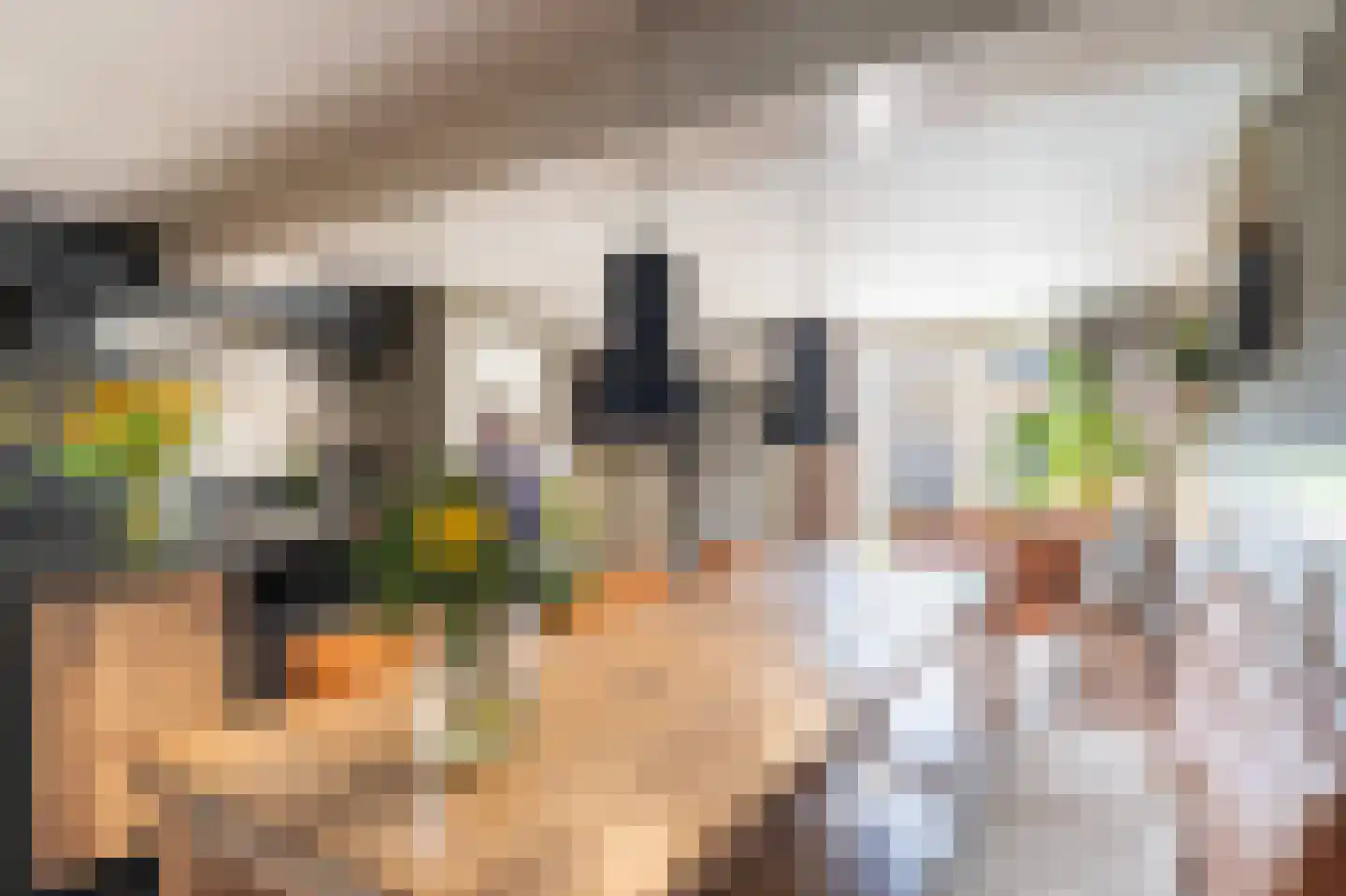 Bosmansweg 37 Nieuwleusen thumbnail 15