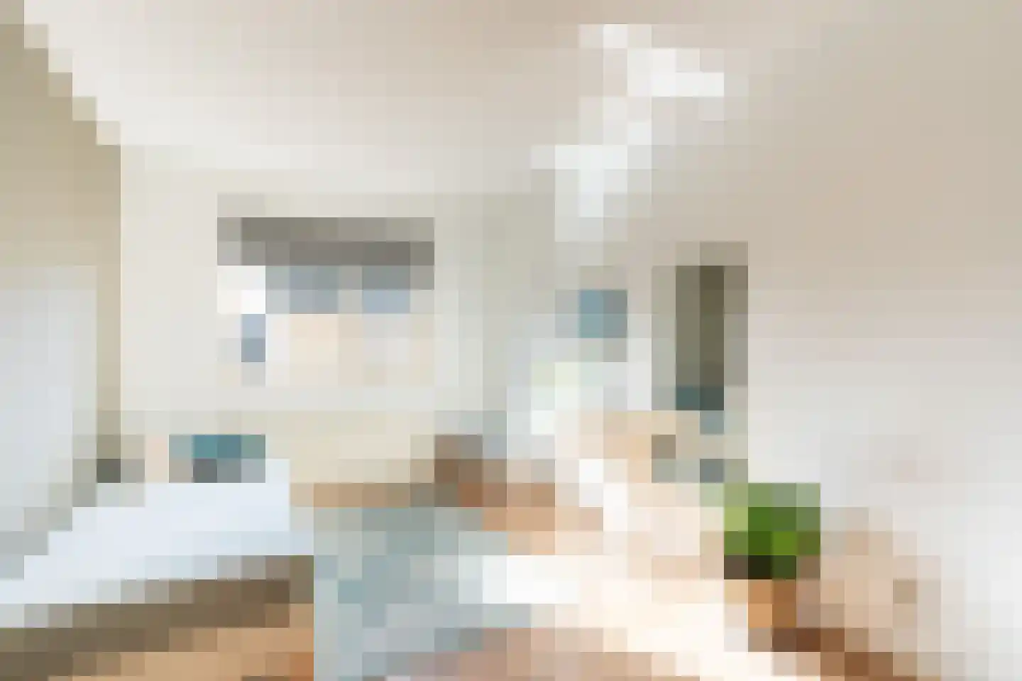 Bosmansweg 37 Nieuwleusen thumbnail 24