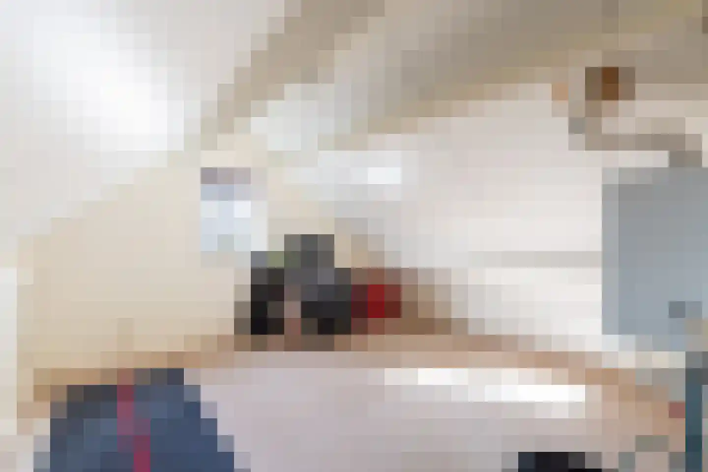 Bosmansweg 37 Nieuwleusen thumbnail 27