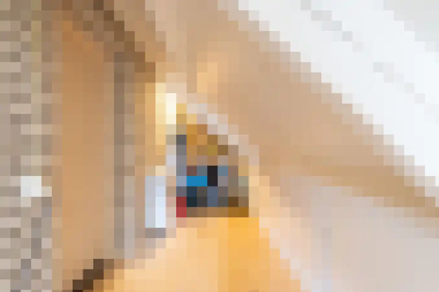 Bosmansweg 37 Nieuwleusen thumbnail 29