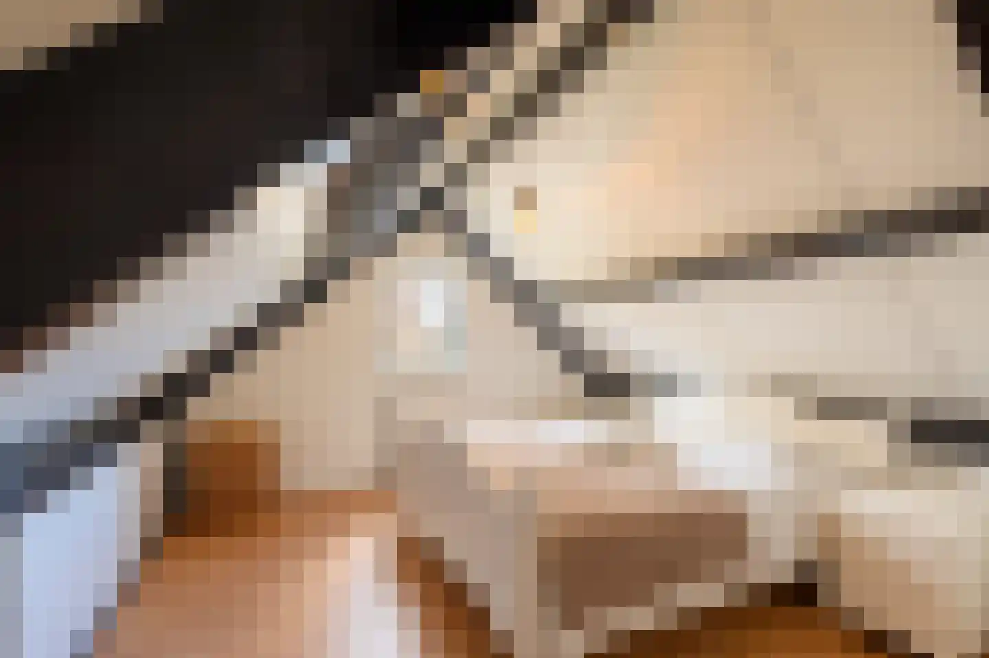 Bosmansweg 37 Nieuwleusen thumbnail 31