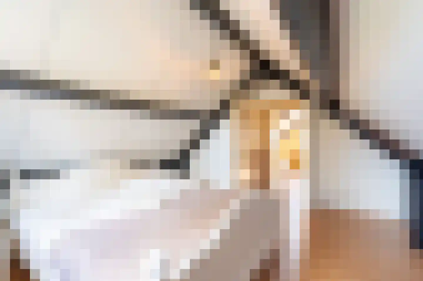 Bosmansweg 37 Nieuwleusen thumbnail 32