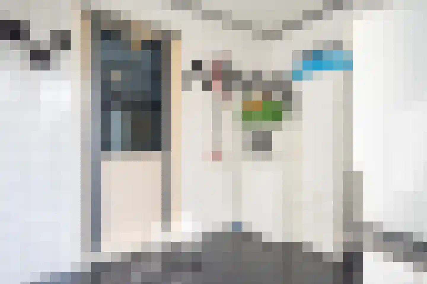 Bosmansweg 37 Nieuwleusen thumbnail 36