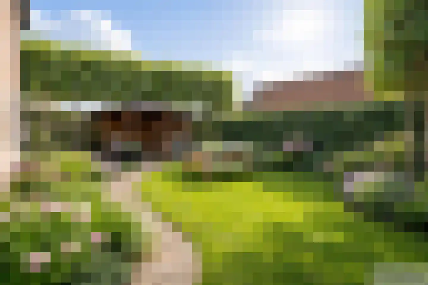 Bosmansweg 37 Nieuwleusen thumbnail 38