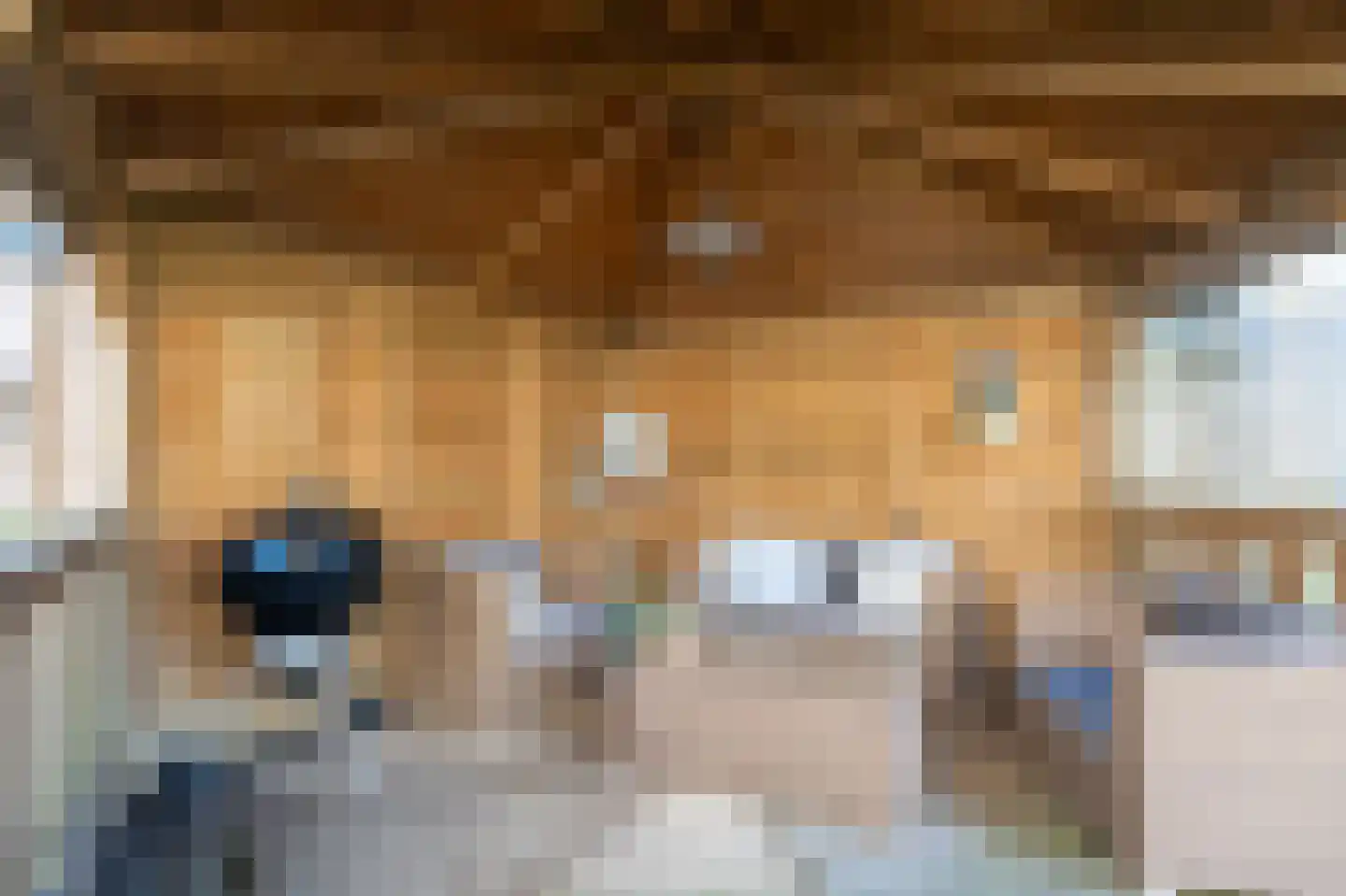 Bosmansweg 37 Nieuwleusen thumbnail 39