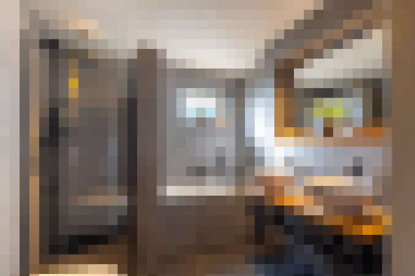Bosmansweg 37 Nieuwleusen thumbnail 4