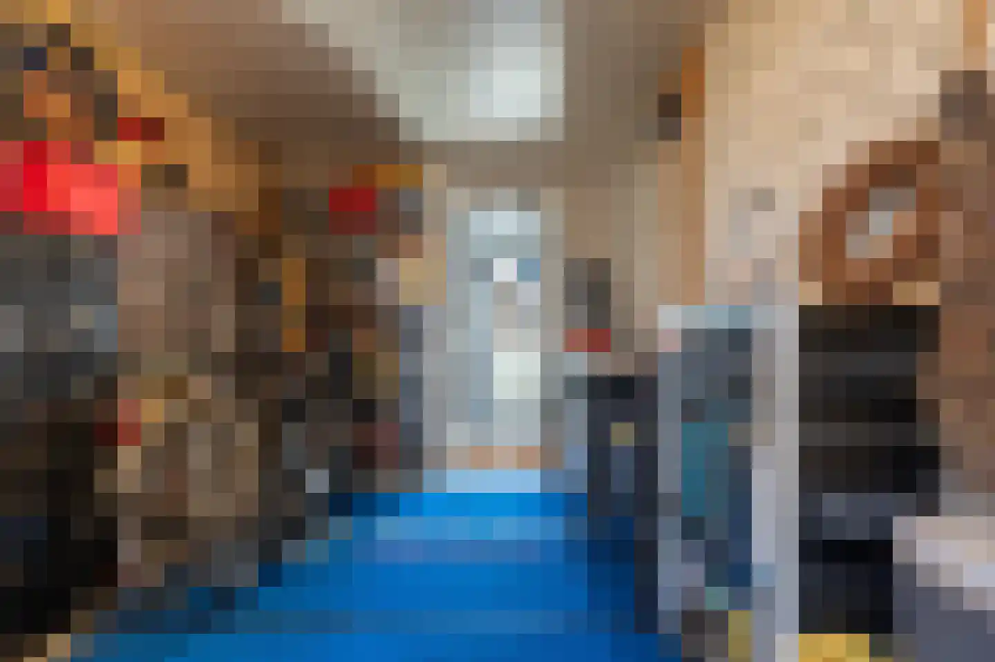 Bosmansweg 37 Nieuwleusen thumbnail 40