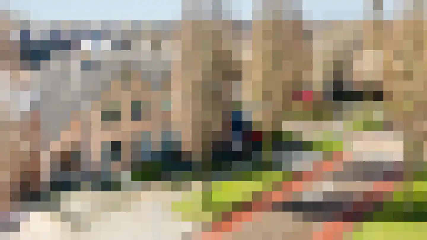 Bosmansweg 37 Nieuwleusen thumbnail 42