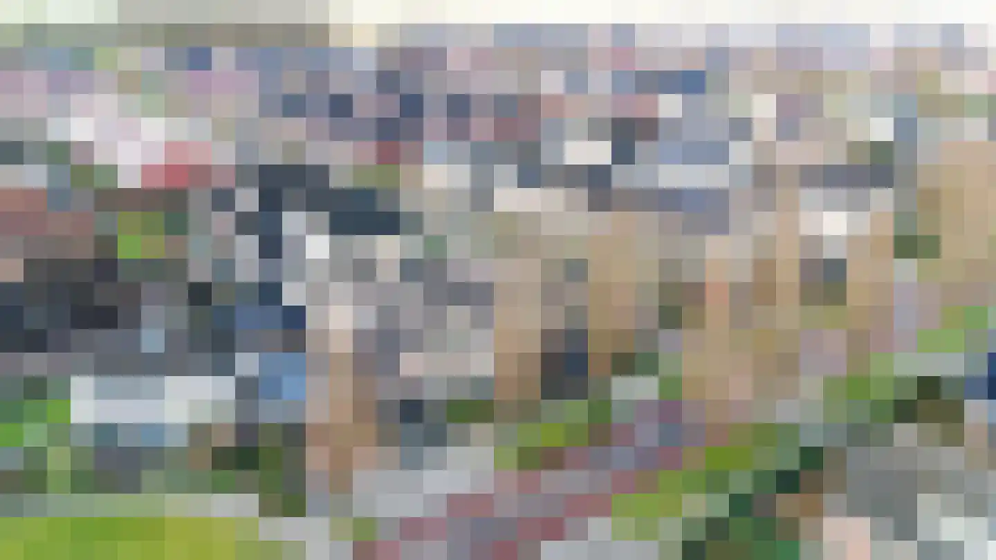 Bosmansweg 37 Nieuwleusen thumbnail 44