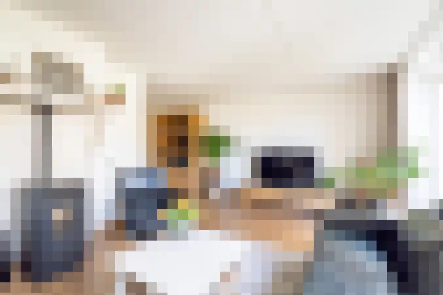 Bosmansweg 37 Nieuwleusen thumbnail 7