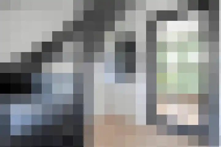 Bosmansweg 47 Nieuwleusen thumbnail 11