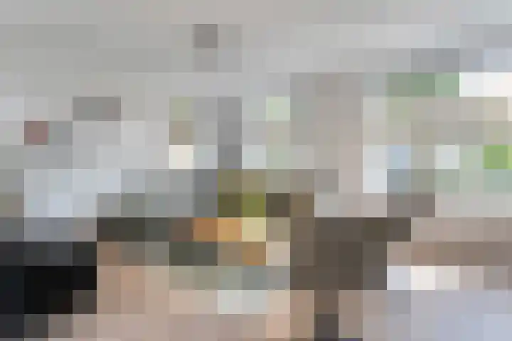 Bosmansweg 47 Nieuwleusen thumbnail 12