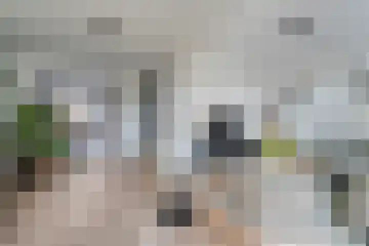 Bosmansweg 47 Nieuwleusen thumbnail 13