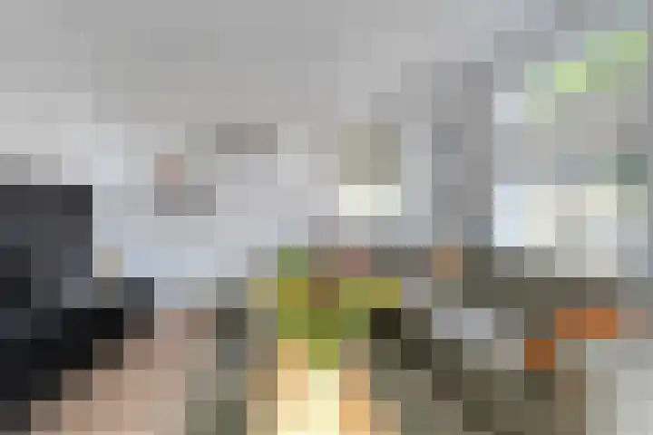 Bosmansweg 47 Nieuwleusen thumbnail 14