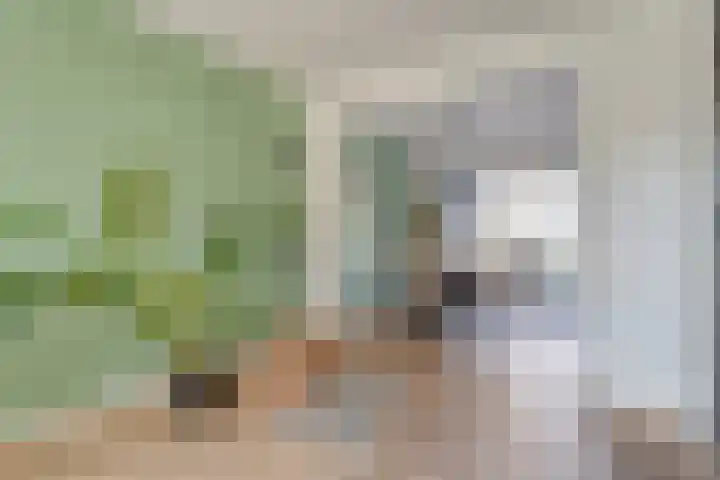 Bosmansweg 47 Nieuwleusen thumbnail 15