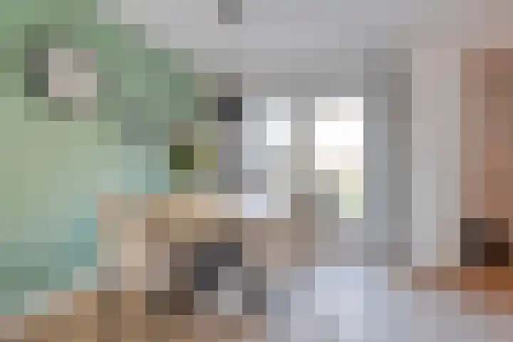 Bosmansweg 47 Nieuwleusen thumbnail 16