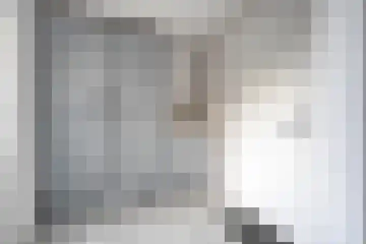 Bosmansweg 47 Nieuwleusen thumbnail 18