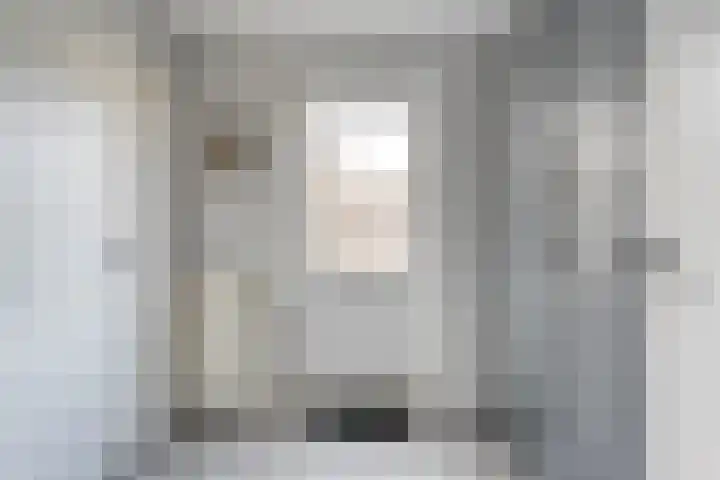 Bosmansweg 47 Nieuwleusen thumbnail 19