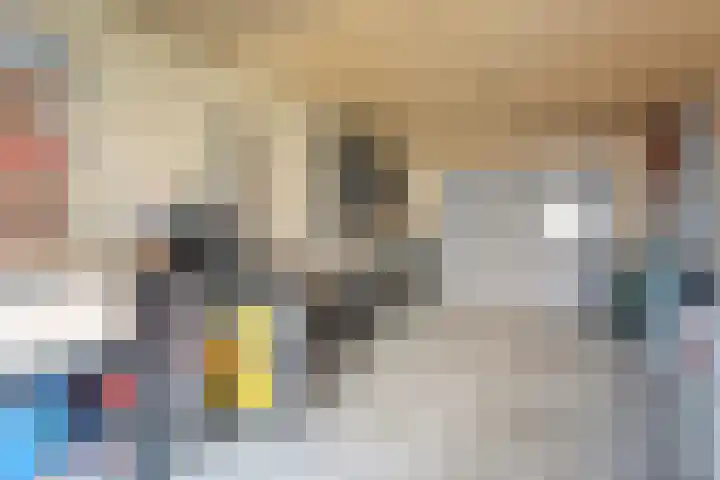Bosmansweg 47 Nieuwleusen thumbnail 20