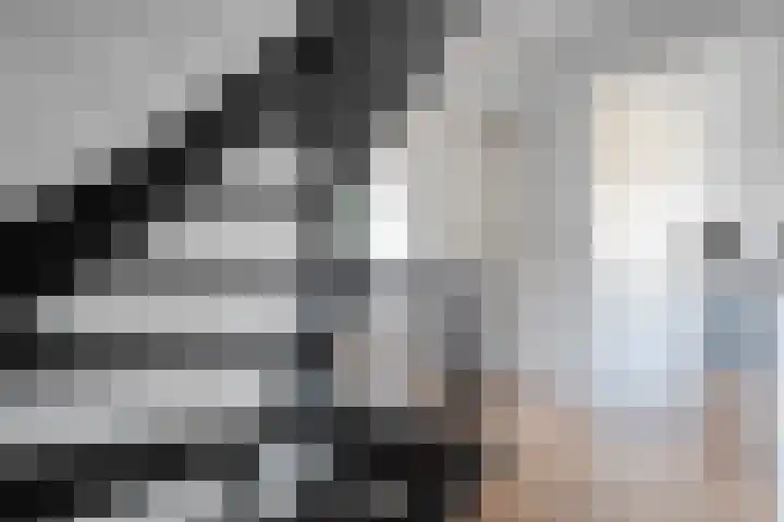 Bosmansweg 47 Nieuwleusen thumbnail 22