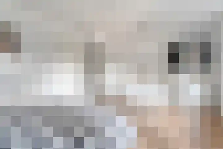 Bosmansweg 47 Nieuwleusen thumbnail 24