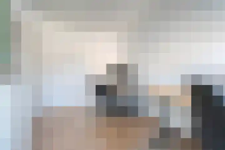 Bosmansweg 47 Nieuwleusen thumbnail 26