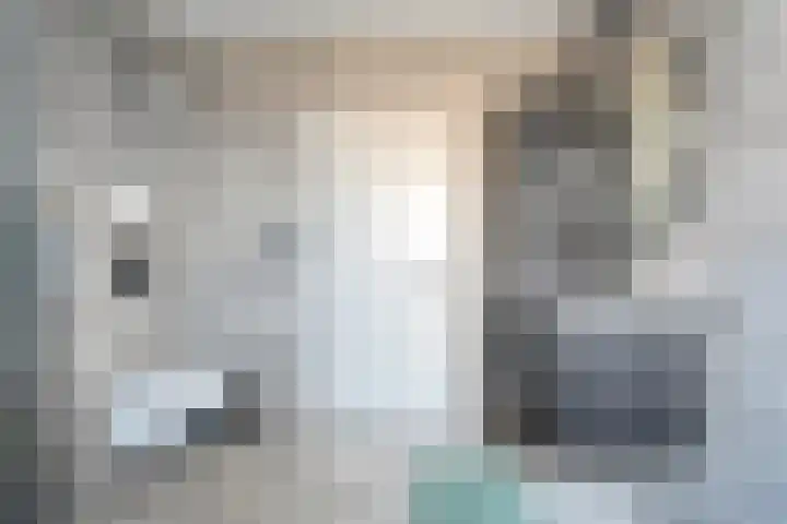 Bosmansweg 47 Nieuwleusen thumbnail 27