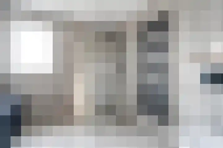 Bosmansweg 47 Nieuwleusen thumbnail 28