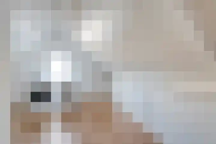 Bosmansweg 47 Nieuwleusen thumbnail 32