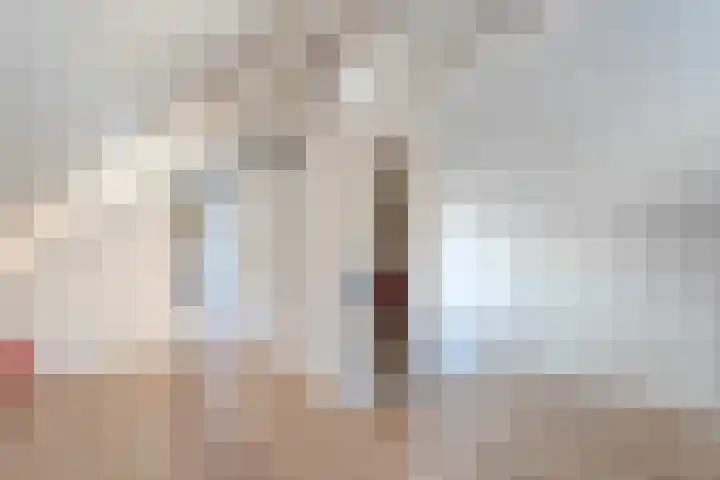 Bosmansweg 47 Nieuwleusen thumbnail 33